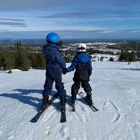 Turstier & Ski - 2 Sov - Elbillader - 60 Min Osl Gasthof
