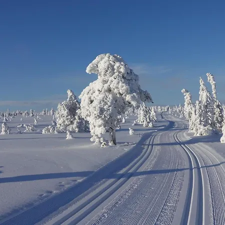 Turstier & Ski - 2 Sov - Elbillader - 60 Min Osl Gasthof Loten